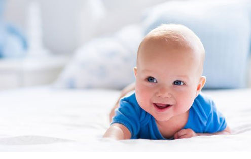 bebe