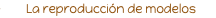 shapeimage_1_link_163