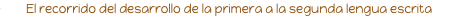 shapeimage_1_link_28
