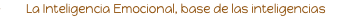 shapeimage_1_link_51